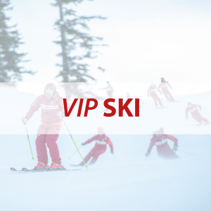 VIP Ski & Stöcke