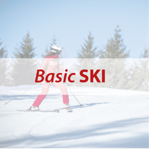 Basic Ski & Stöcke